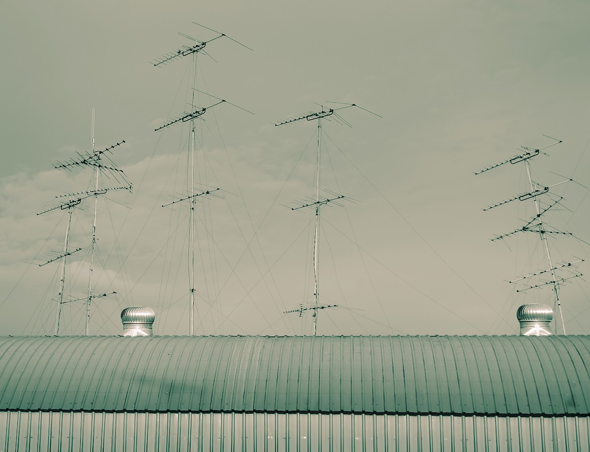 Netzwerk
